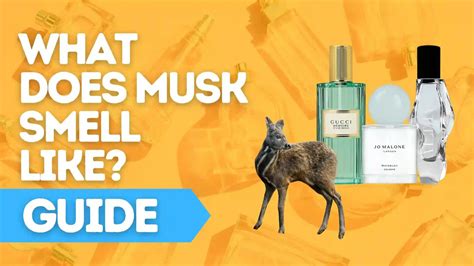 replica musk perfume|what does musk smell like in perfume.